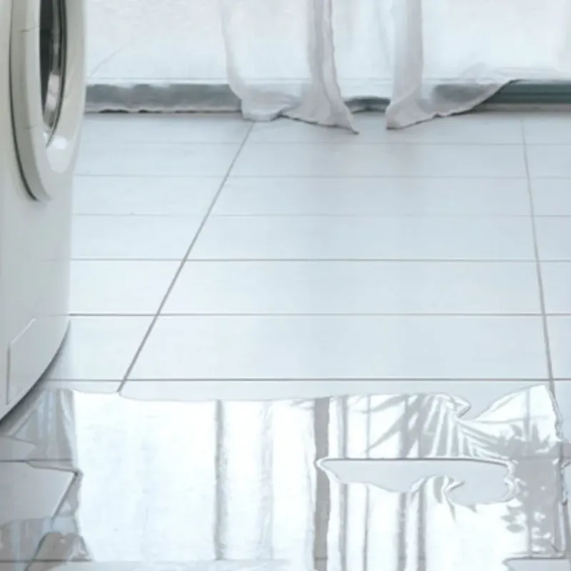 Appliance Leak Cleanup in DeWitt, MI