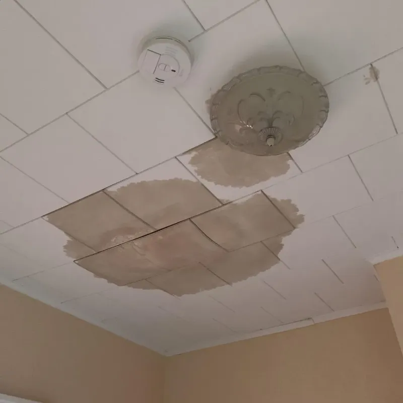 Ceiling Water Damage Repair in DeWitt, MI