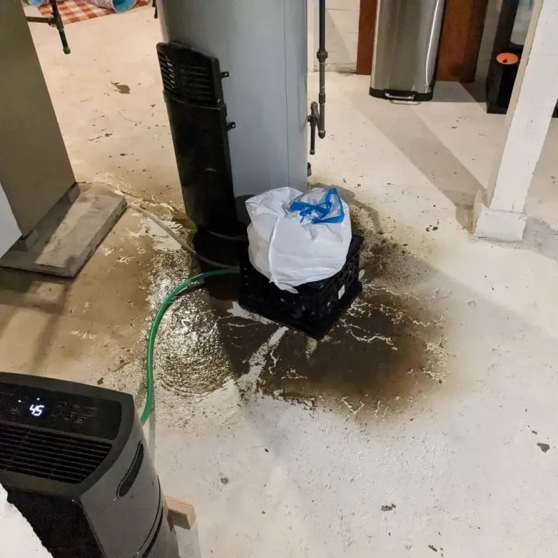Sewage Backup Cleanup Service in DeWitt, MI